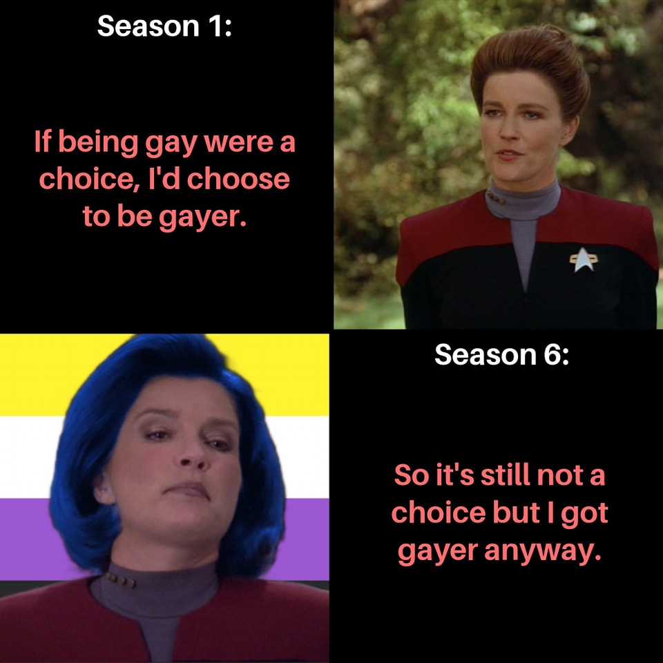 This meme is a humorous take on the Star Trek: The Next Generation character Deanna Troi, who is known for her empathic and intuitive nature. The meme shows a still image of Deanna Troi from the show, with a caption that reads: "In 2-3 sentences, describe this meme for someone who cannot see it." The meme then responds with: "A photo of Deanna Troi from Star Trek: The Next Generation. She's looking directly at the viewer with a serious expression. She's saying: 'If being gay was a choice, I'd choose to be gay. I'm gay. If being gay was a choice, I'd choose to be gay. I'm gay.'"